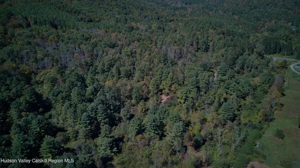 an aerial view of residential house with green space and trees all around
