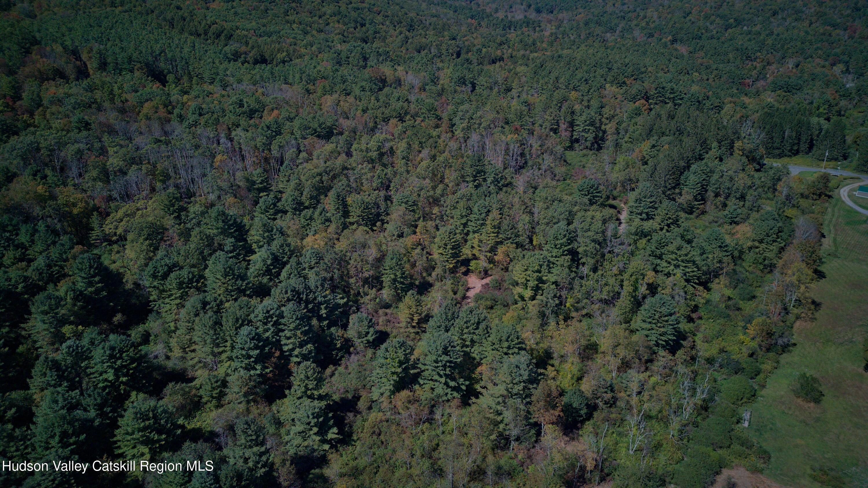 358 West Hill Road Austerlitz, NY 12017 - Photo 8 of 18 an aerial view of residential house with green space and trees all around