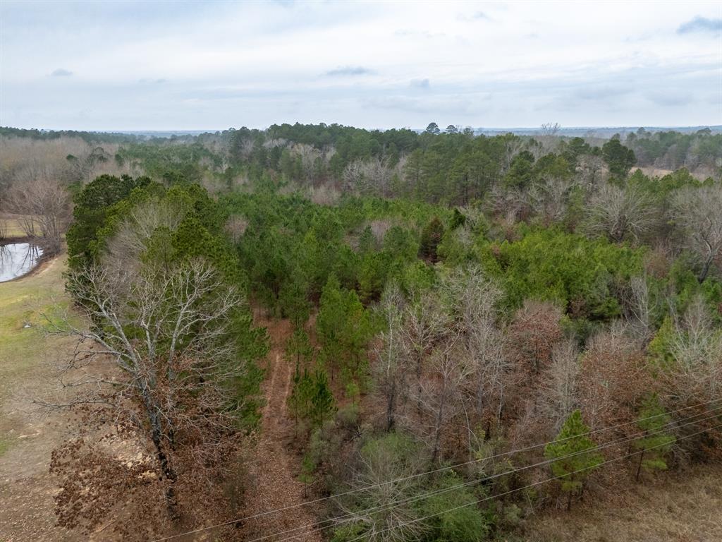 0 Blocker Road Marshall, TX 75672 - Photo 6 of 24 a view of a city with lush green forest