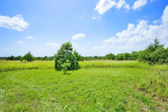 a view of a lake with a yard
