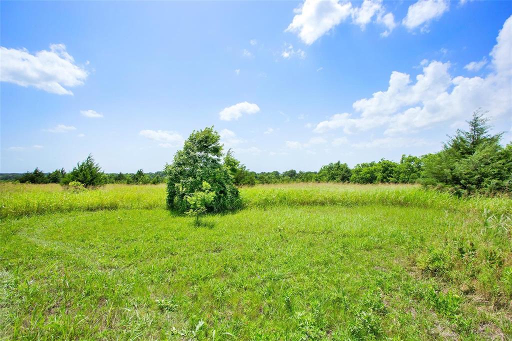 491 Morrison Road Howe, TX 75459 - Photo 5 of 18 a view of a lake with a yard