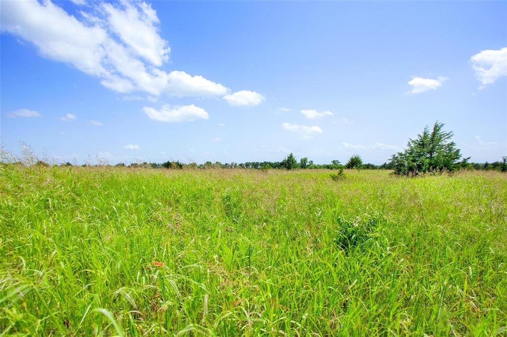 491 Morrison Road Howe, TX 75459 - Photo 6 of 18