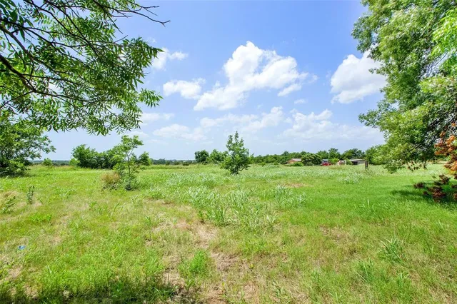 a view of a house with yard and a tree