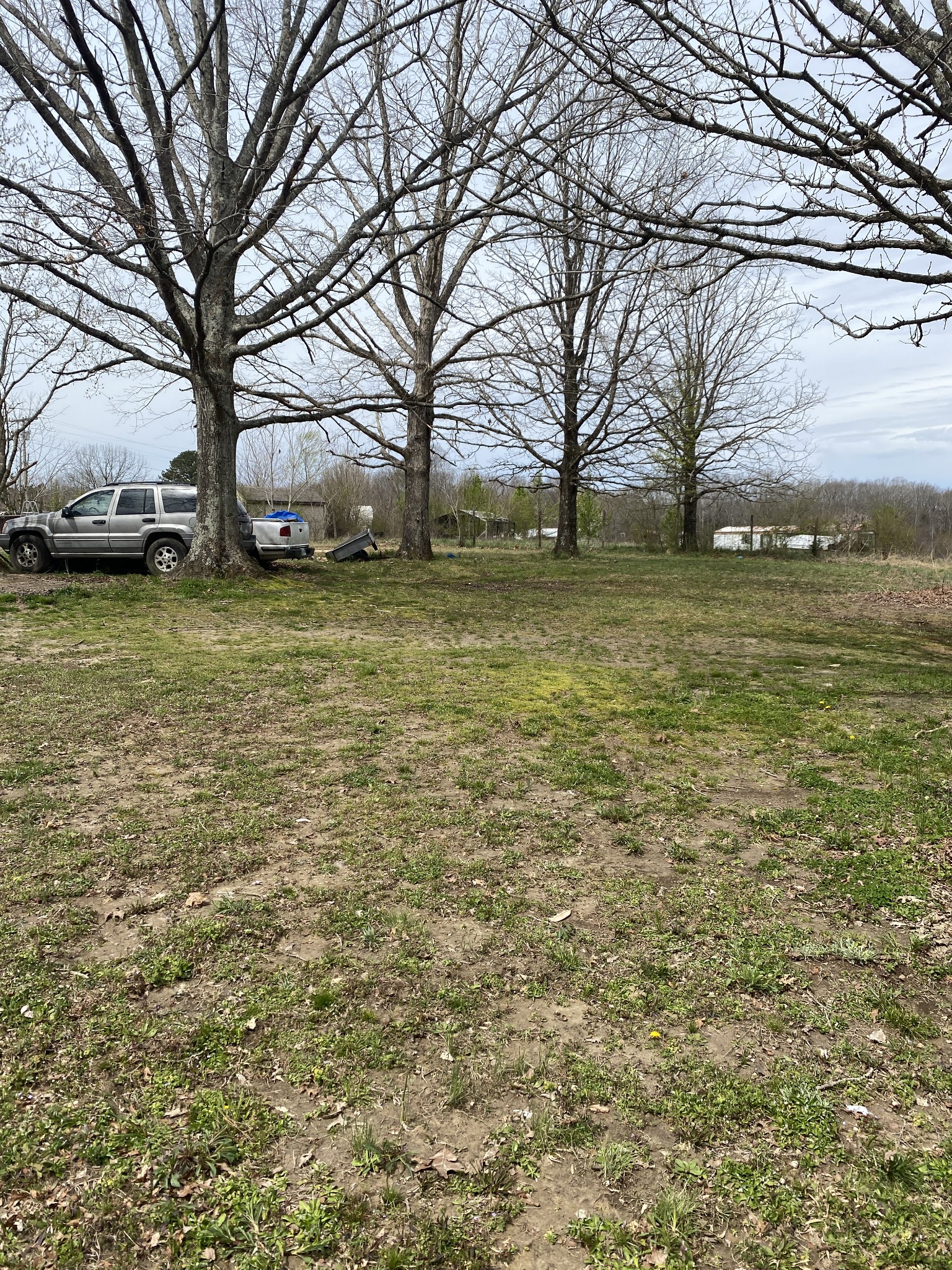 422 Woodland Road Hohenwald, TN 38462 - Photo 5 of 23 Gallery Image 5