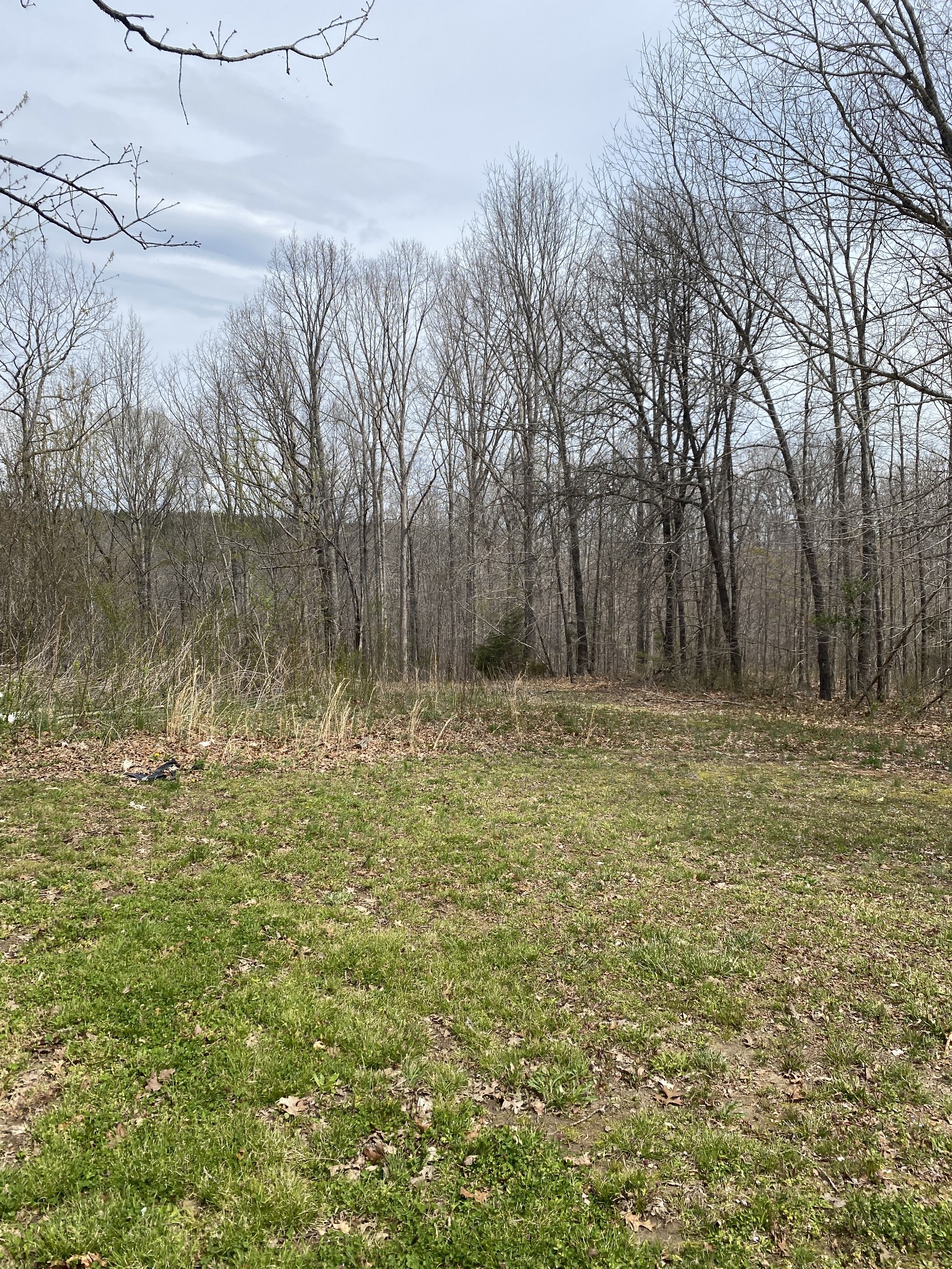 422 Woodland Road Hohenwald, TN 38462 - Photo 7 of 23 Gallery Image 7