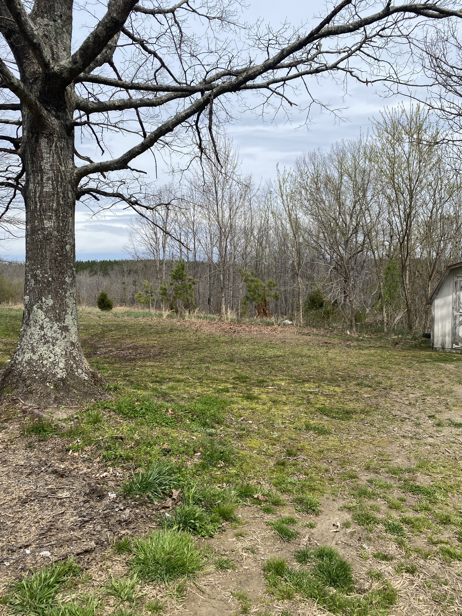 422 Woodland Road Hohenwald, TN 38462 - Photo 9 of 23 Gallery Image 9