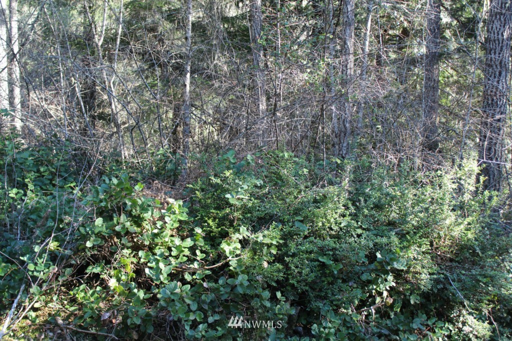 0 Lot B Of Sp 788 Off Hurd Road Belfair, WA 98528 - Photo 1 of 1 Gallery Image 1