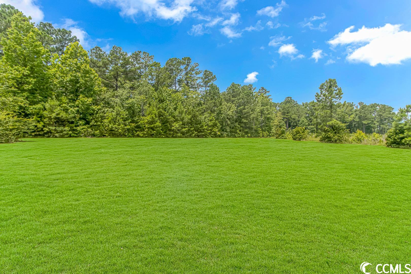 2126 Jasmine Road Loris, SC 29569 - Photo 19 of 27 Gallery Image 19