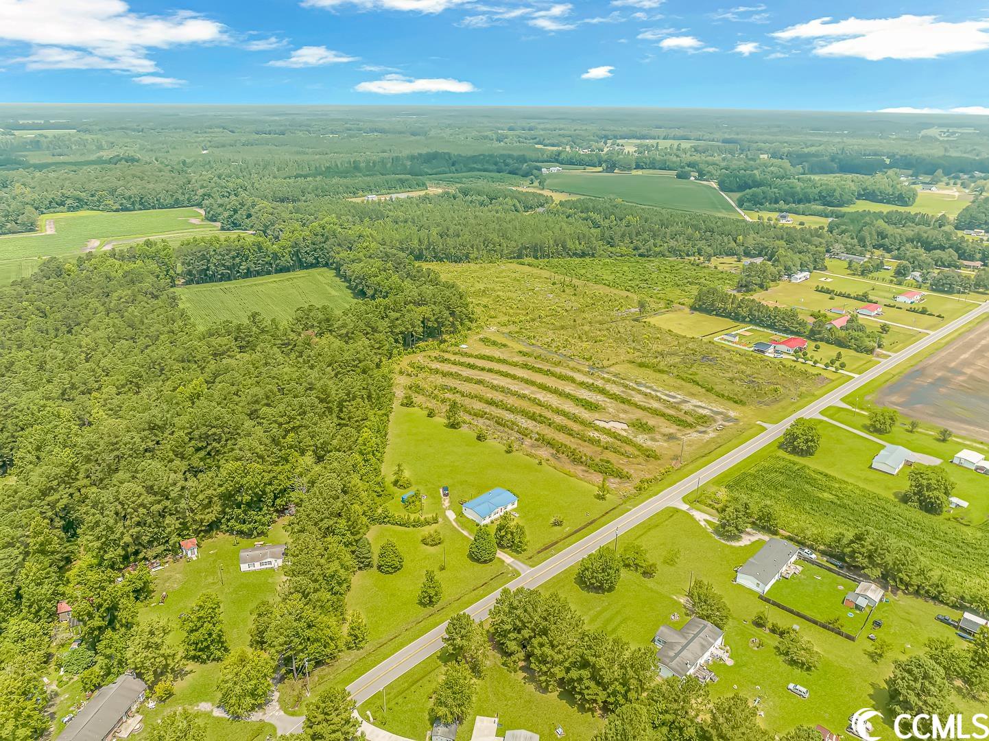 2126 Jasmine Road Loris, SC 29569 - Photo 23 of 27 Gallery Image 23