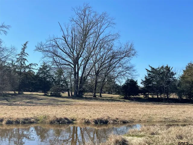 a view of outdoor space with trees
