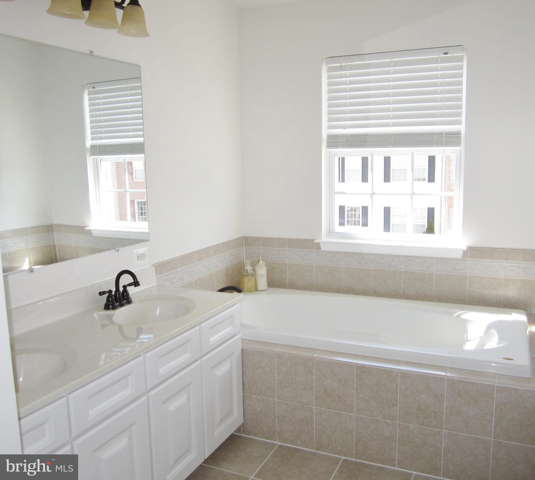829 Lowe Road Baltimore, MD 21220 - Photo 15 of 28 a bathroom with a sink and a bathtub