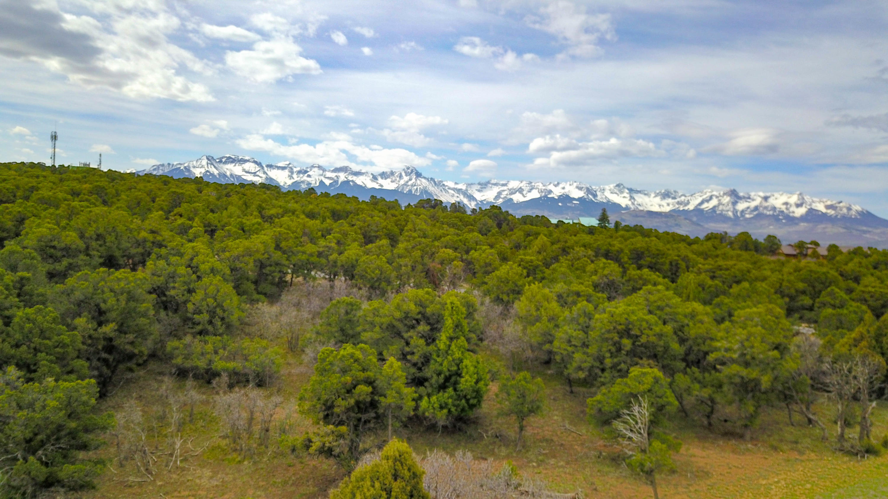 196 Tower Road South Ridgway, CO 81432 - Photo 1 of 23 Main