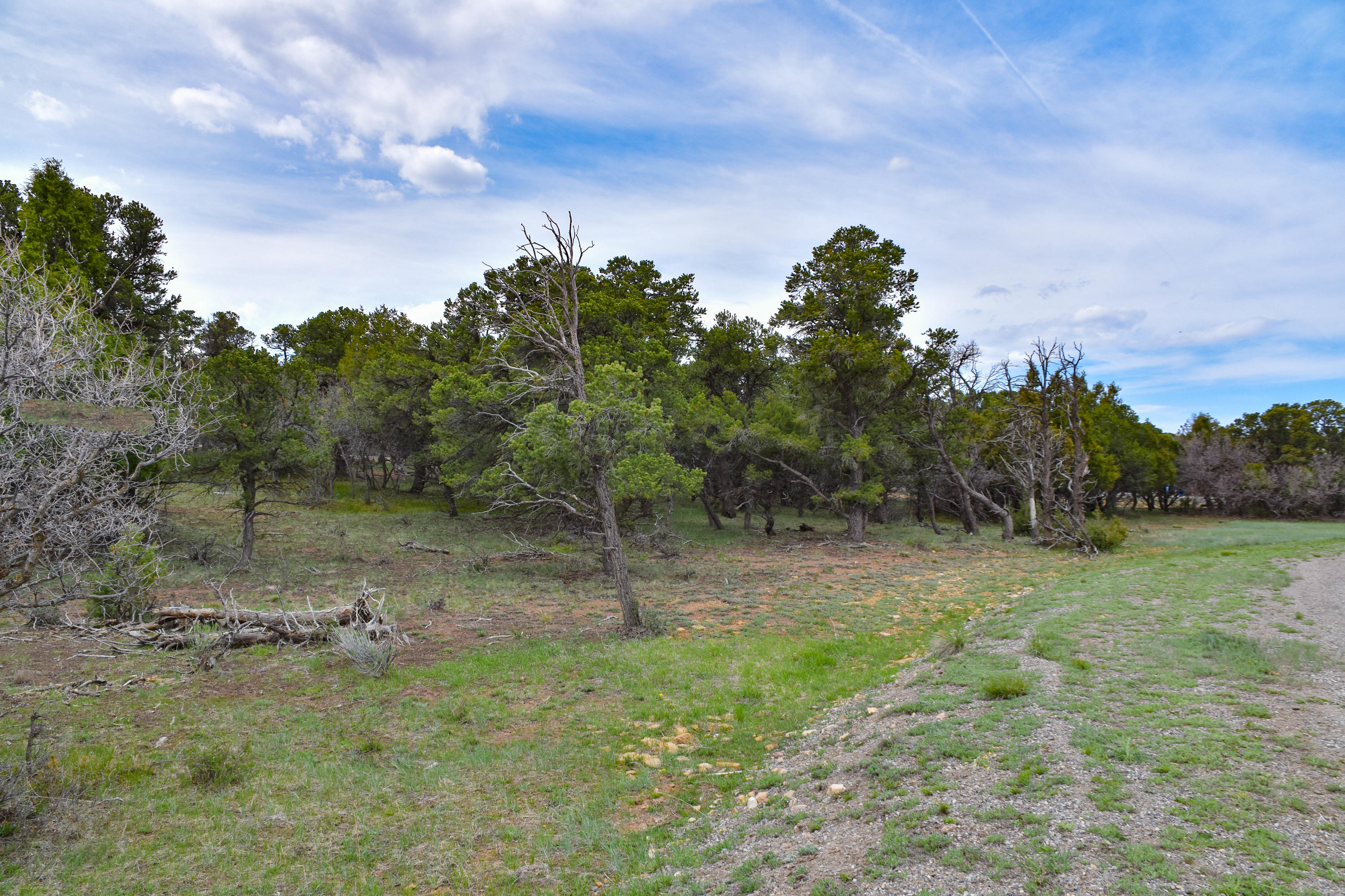 196 Tower Road South Ridgway, CO 81432 - Photo 12 of 23 cam_