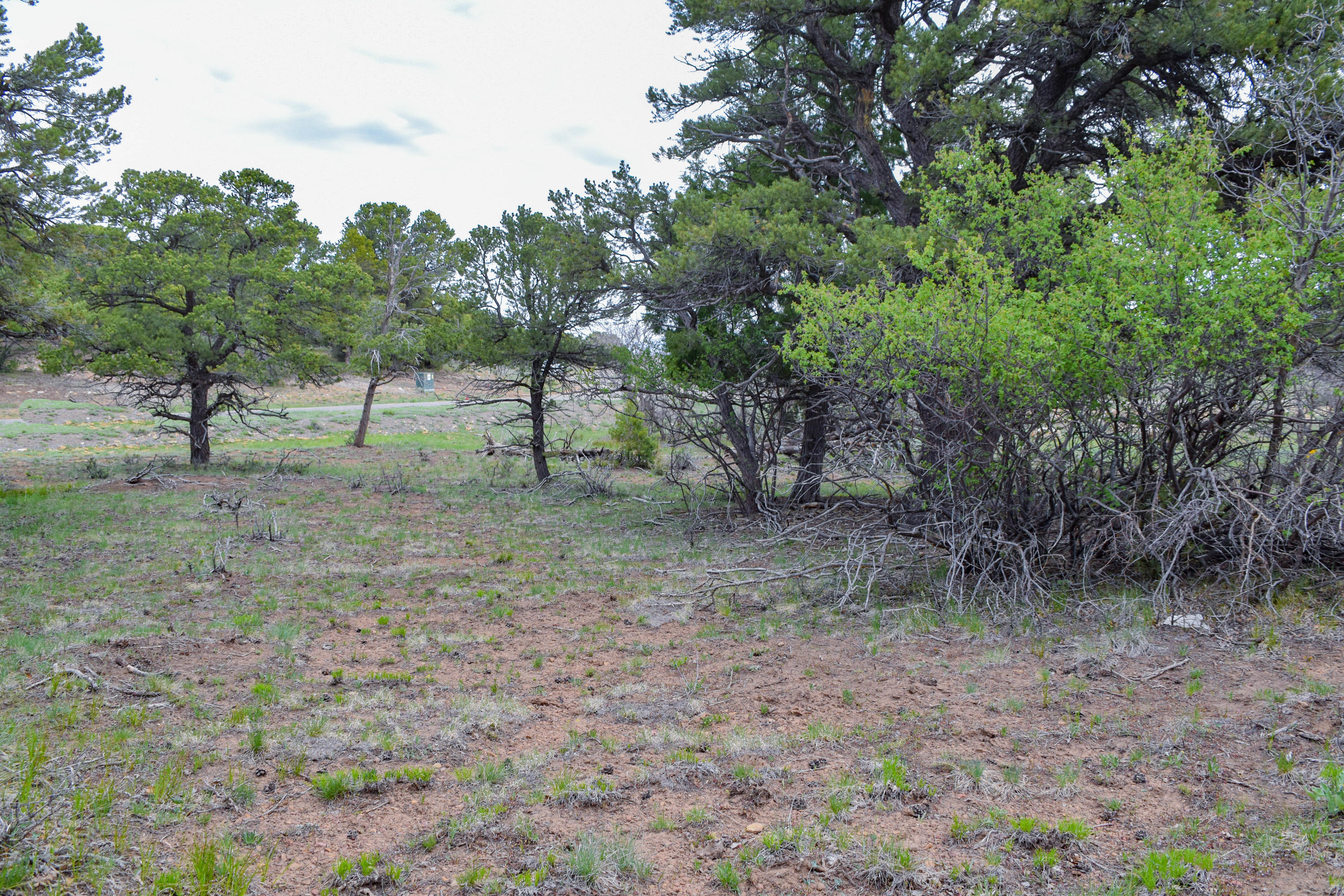 196 Tower Road South Ridgway, CO 81432 - Photo 14 of 23 cam_-4