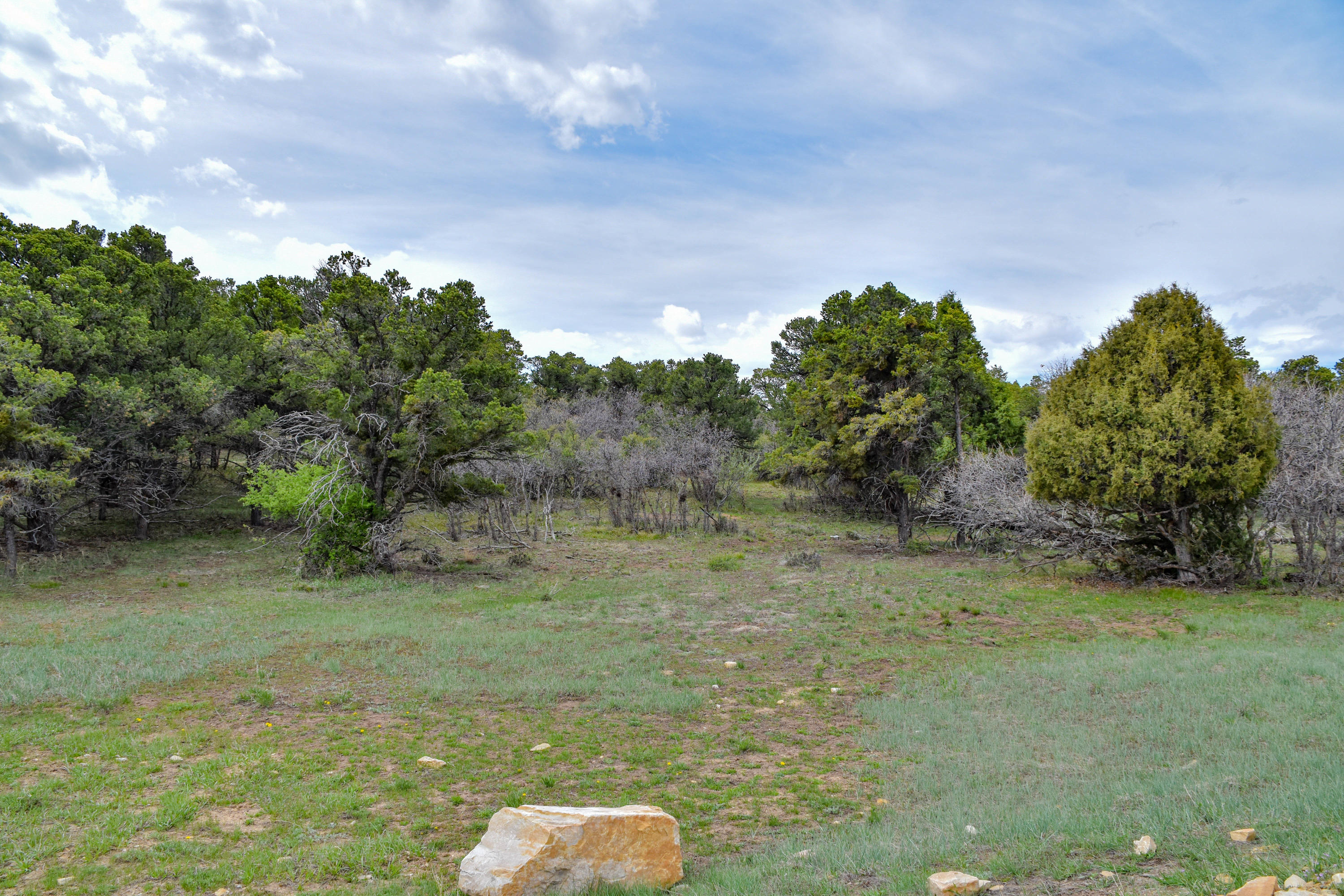 196 Tower Road South Ridgway, CO 81432 - Photo 20 of 23 cam_-17