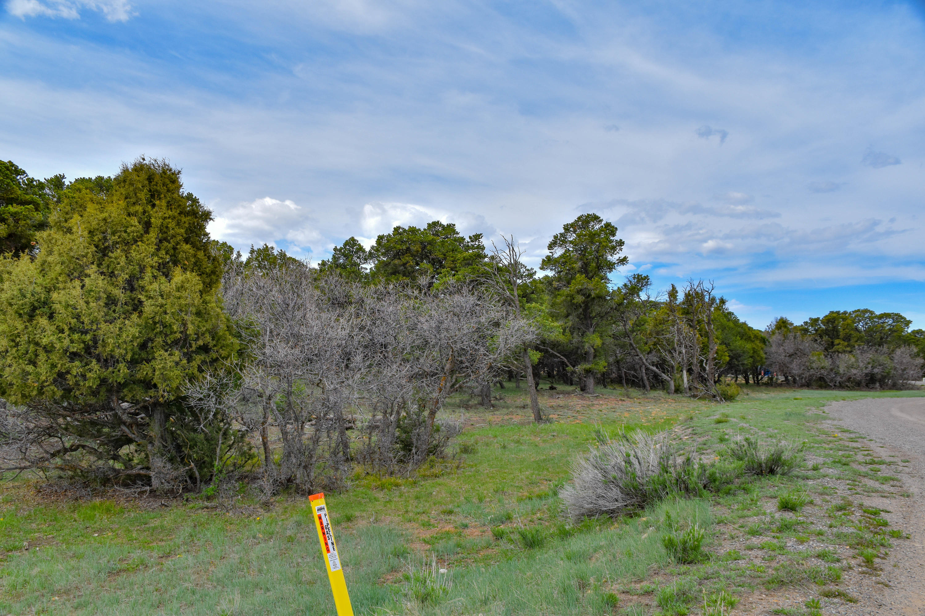 196 Tower Road South Ridgway, CO 81432 - Photo 21 of 23 cam_-19