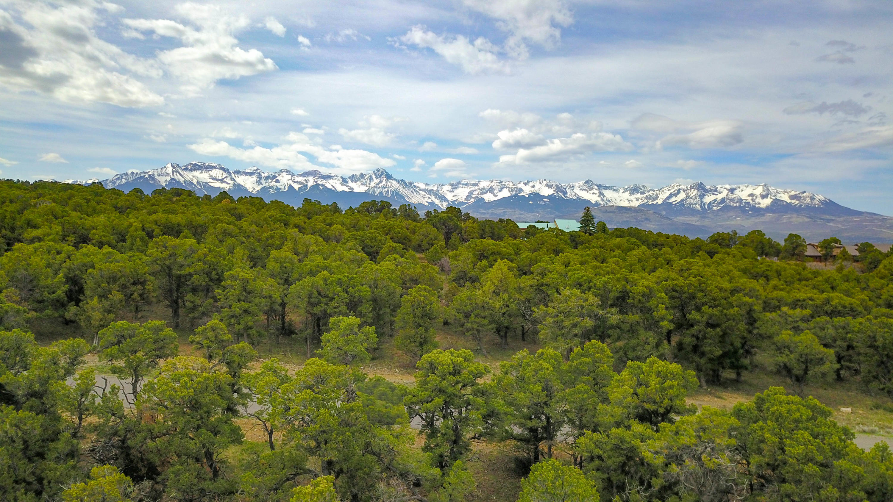 196 Tower Road South Ridgway, CO 81432 - Photo 4 of 23 cam_-8