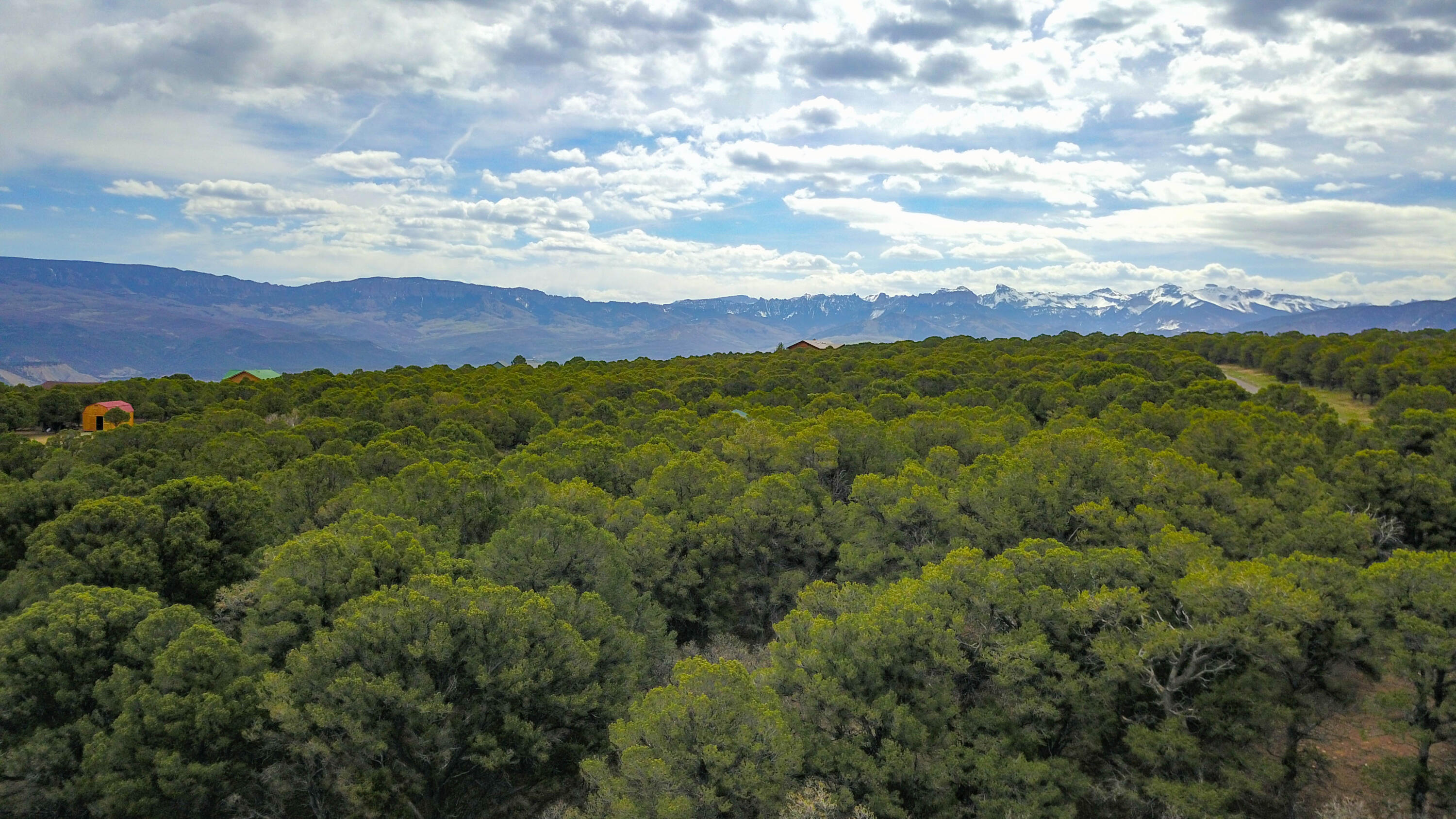 196 Tower Road South Ridgway, CO 81432 - Photo 5 of 23 cam_-9