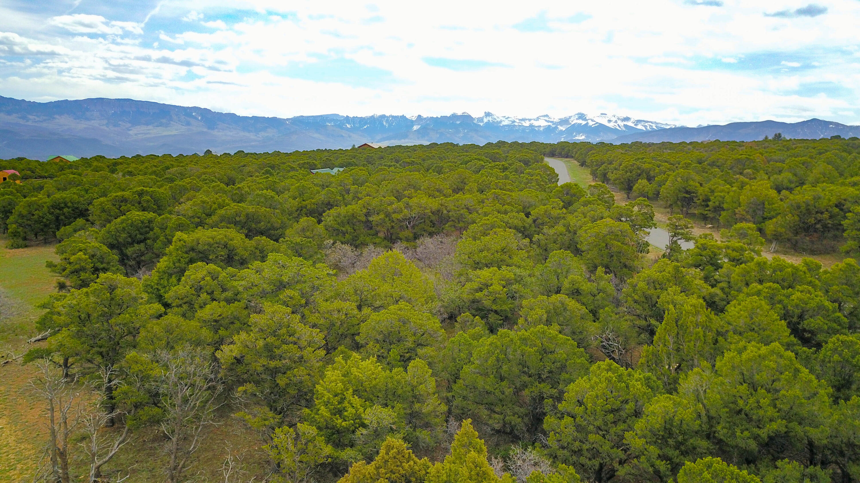 196 Tower Road South Ridgway, CO 81432 - Photo 6 of 23 cam_-13