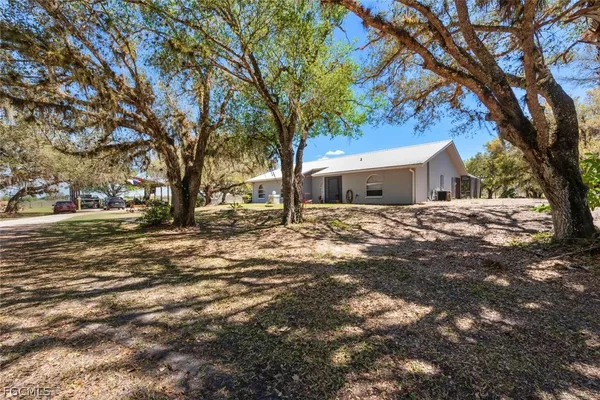 a view of a yard with large tree