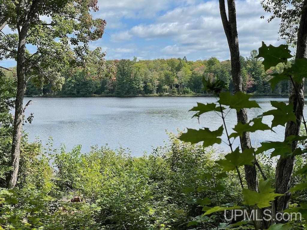 47-13 Carpenter Lake Road Seney, MI 49883 - Photo 13 of 18
