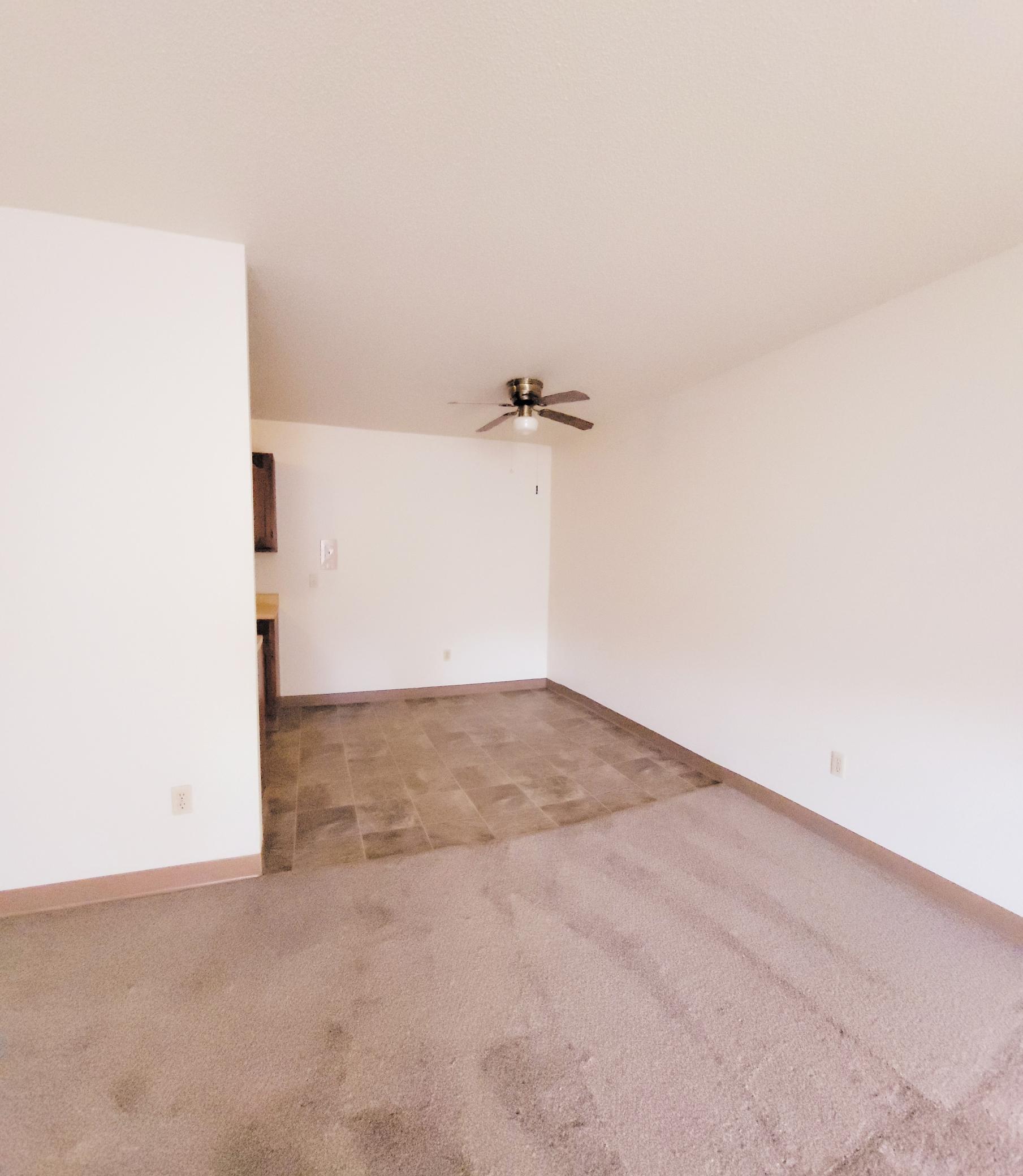 528 North Grant Street, Unit 206 Blue Earth, MN 56013 - Photo 4 of 14