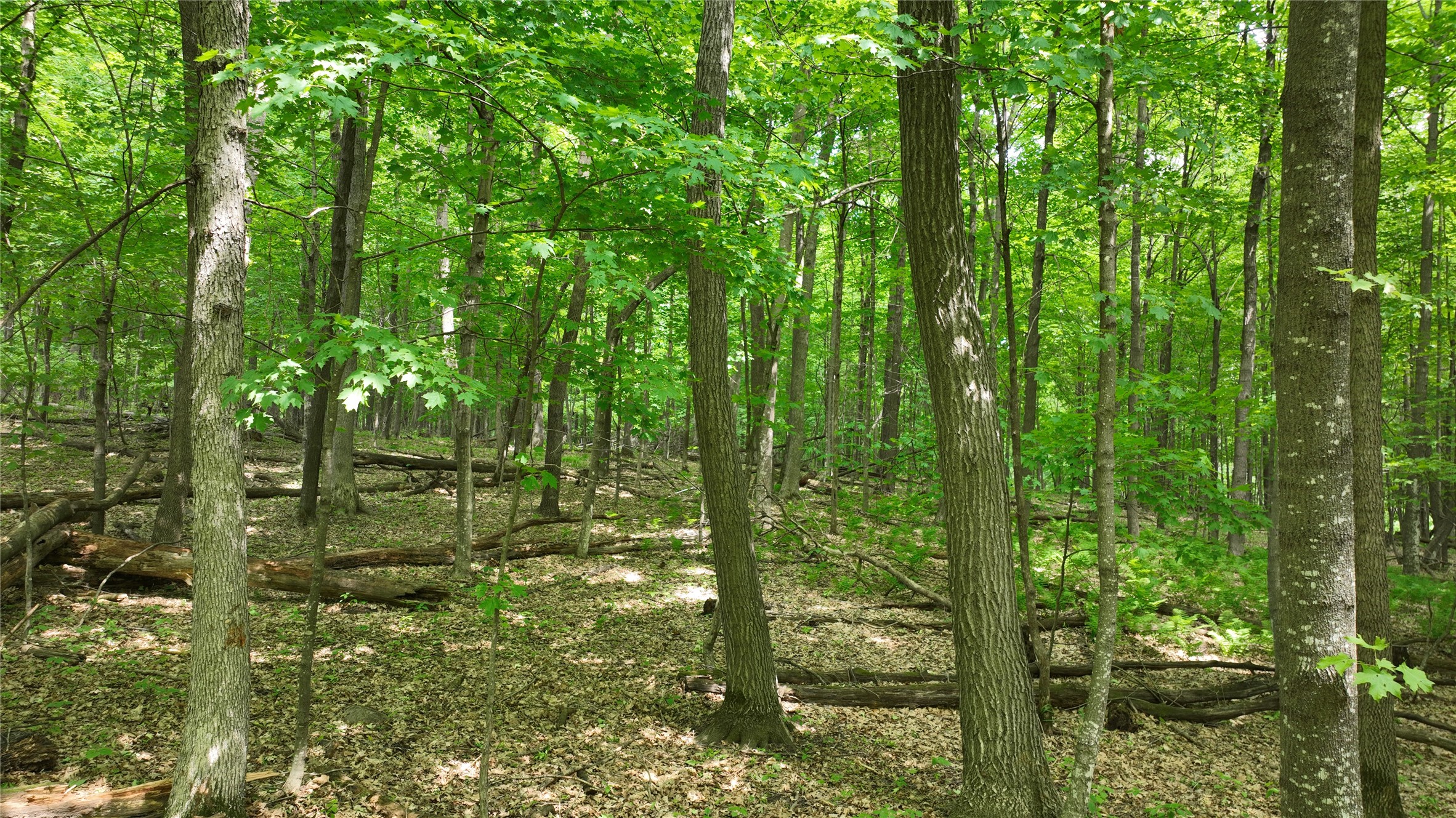Xx County Rd Q Downing, WI 54734 - Photo 11 of 45