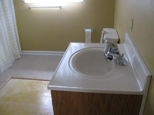 2668 Quarles Road Thaxton, VA 24174 - Photo 21 of 21 a bathroom with a sink