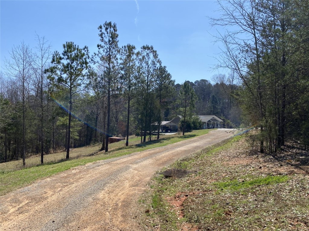 459 Tabor Woods Road Pickens, SC 29671 - Photo 20 of 26