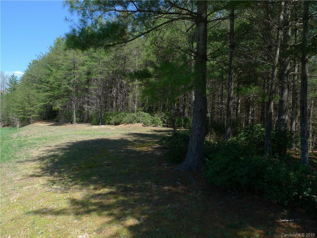 103 Big Tree Way, Unit 2 Nebo, NC 28761 - Photo 1 of 9 Gallery Image 1
