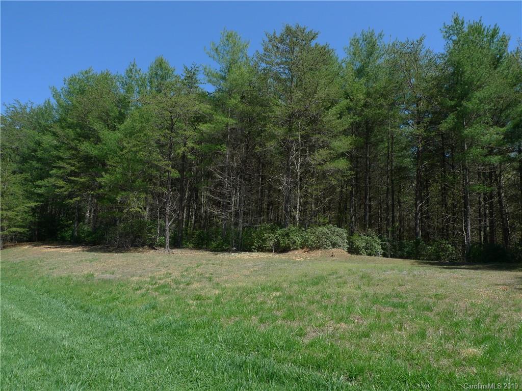 103 Big Tree Way, Unit 2 Nebo, NC 28761 - Photo 2 of 9 Gallery Image 2