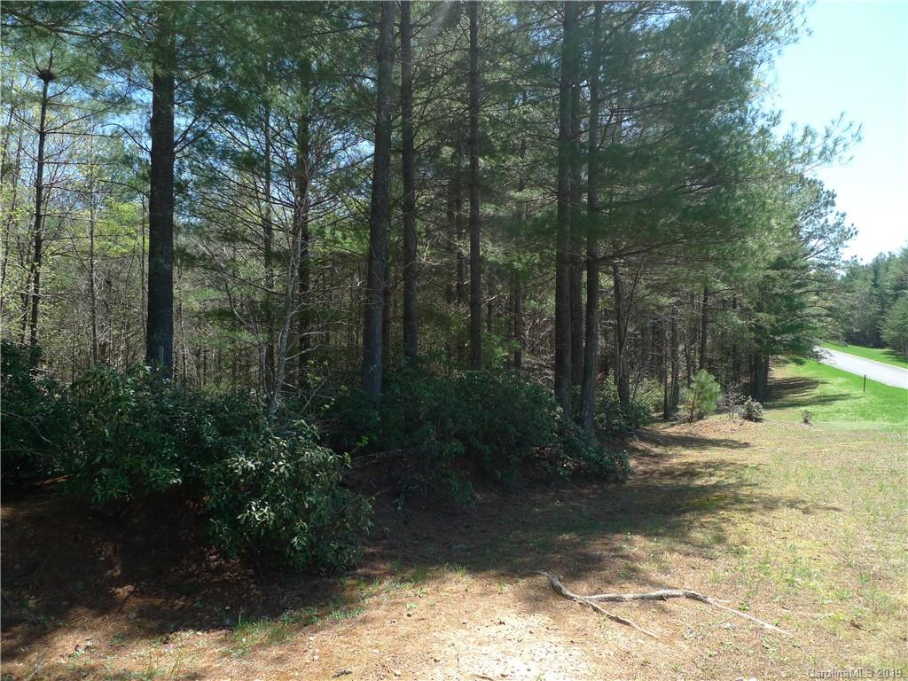103 Big Tree Way, Unit 2 Nebo, NC 28761 - Photo 4 of 9 Gallery Image 4