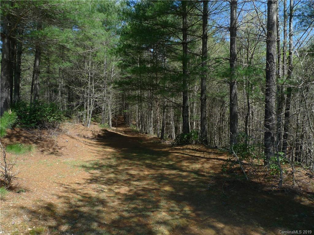 103 Big Tree Way, Unit 2 Nebo, NC 28761 - Photo 5 of 9 Gallery Image 5