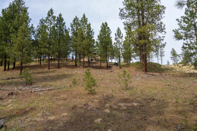 $300,000 | 1330 Sommer Way, Kettle Falls, WA 99141