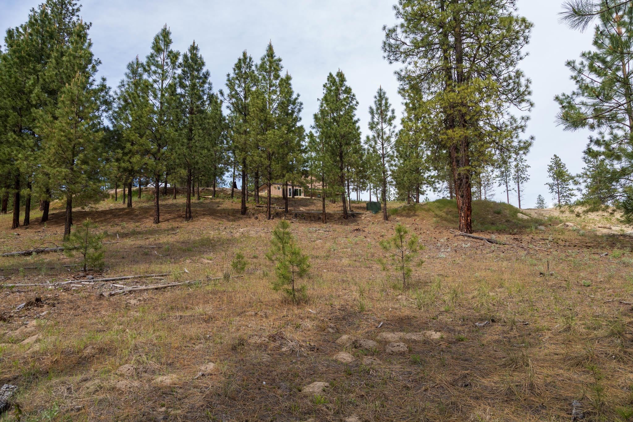 1330 Sommer Way Kettle Falls, WA 99141 - Photo 23 of 31