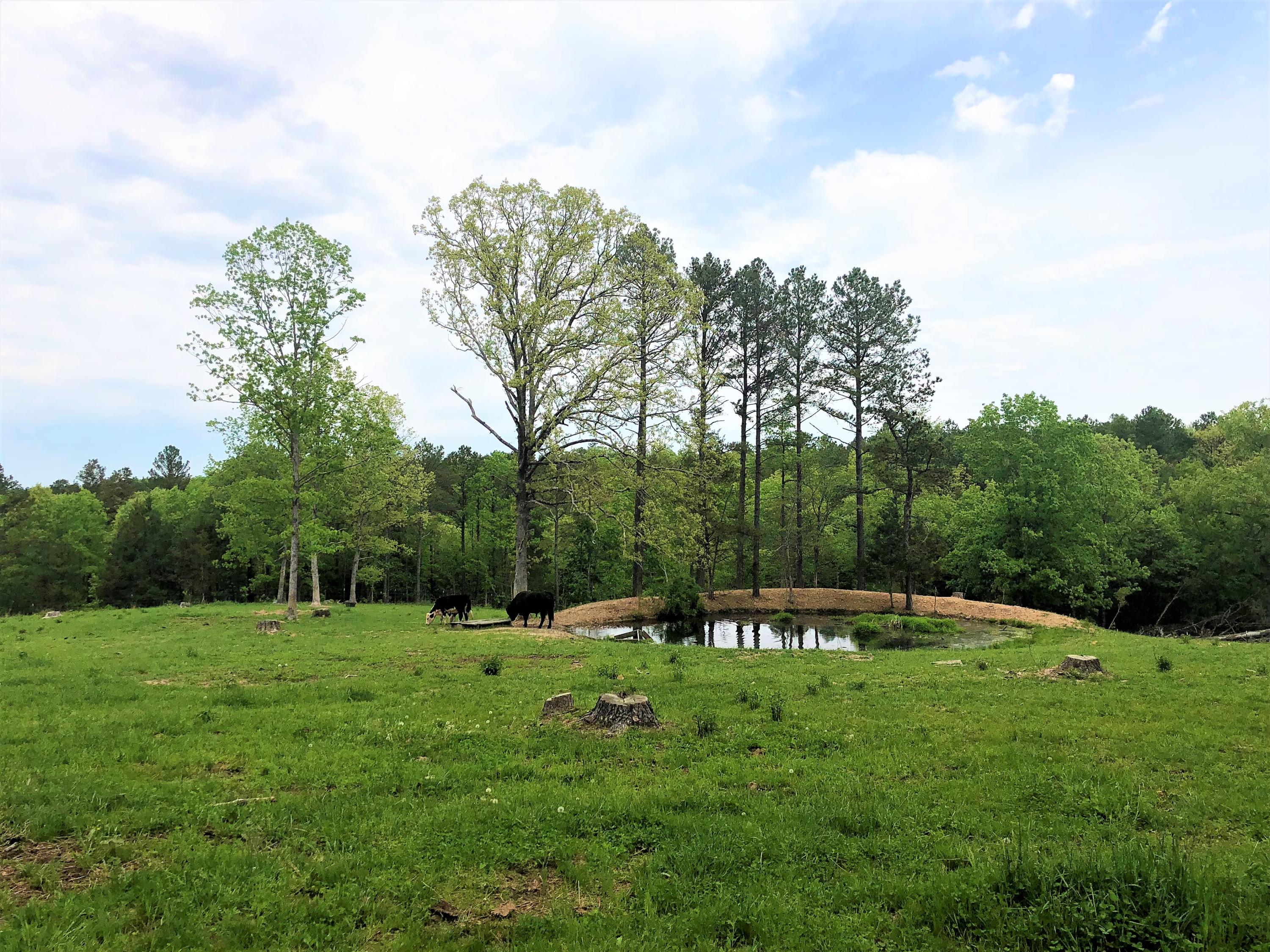 9461 State Route East Houston, MO 65483 - Photo 1 of 1 Pond