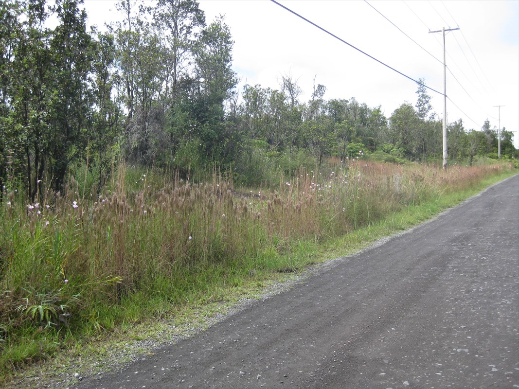 23 Kaleponi Road Mountain View, HI 96771 - Photo 2 of 6 a view of a lake from a yard