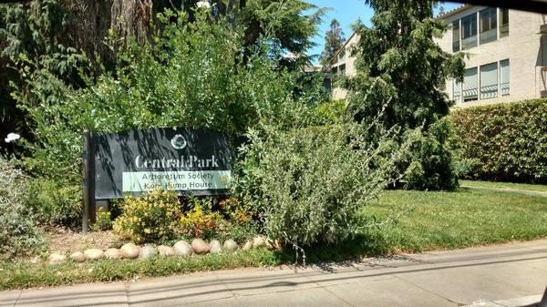 41 Madison Avenue, Unit A San Mateo, CA 94402 - Photo 12 of 16 a view of a back yard