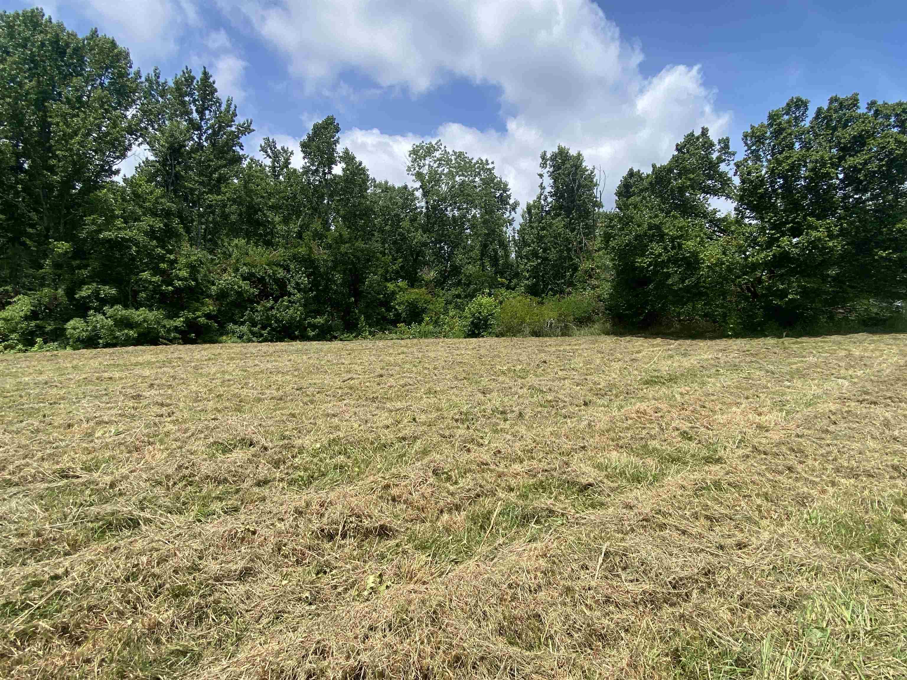 5405 Coffee Landing Road Morris Chapel, TN 38361 - Photo 31 of 40 Gallery Image 31