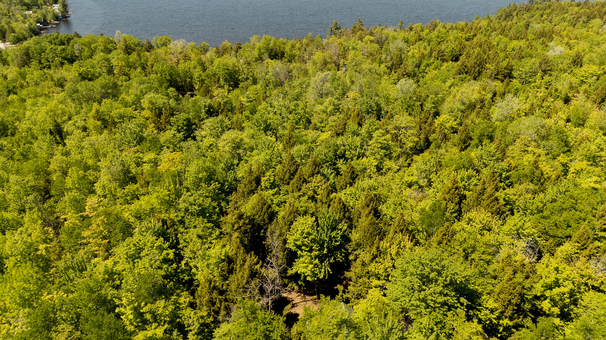 16 Beach View Road Dover-Foxcroft, ME 04426 - Photo 44 of 56 DJI_20260603140303_0579_D