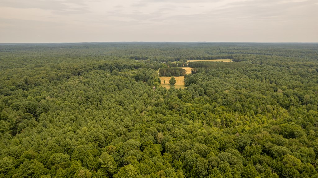 0 Jacks Hollow Road Vowinckel, PA 16260 - Photo 21 of 33