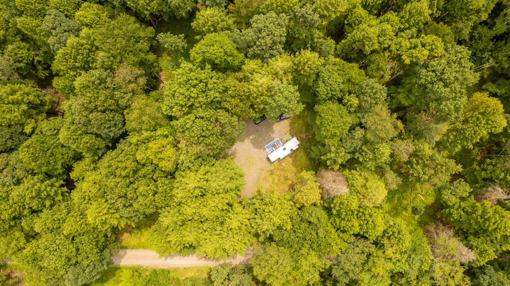 0 Jacks Hollow Road Vowinckel, PA 16260 - Photo 8 of 33