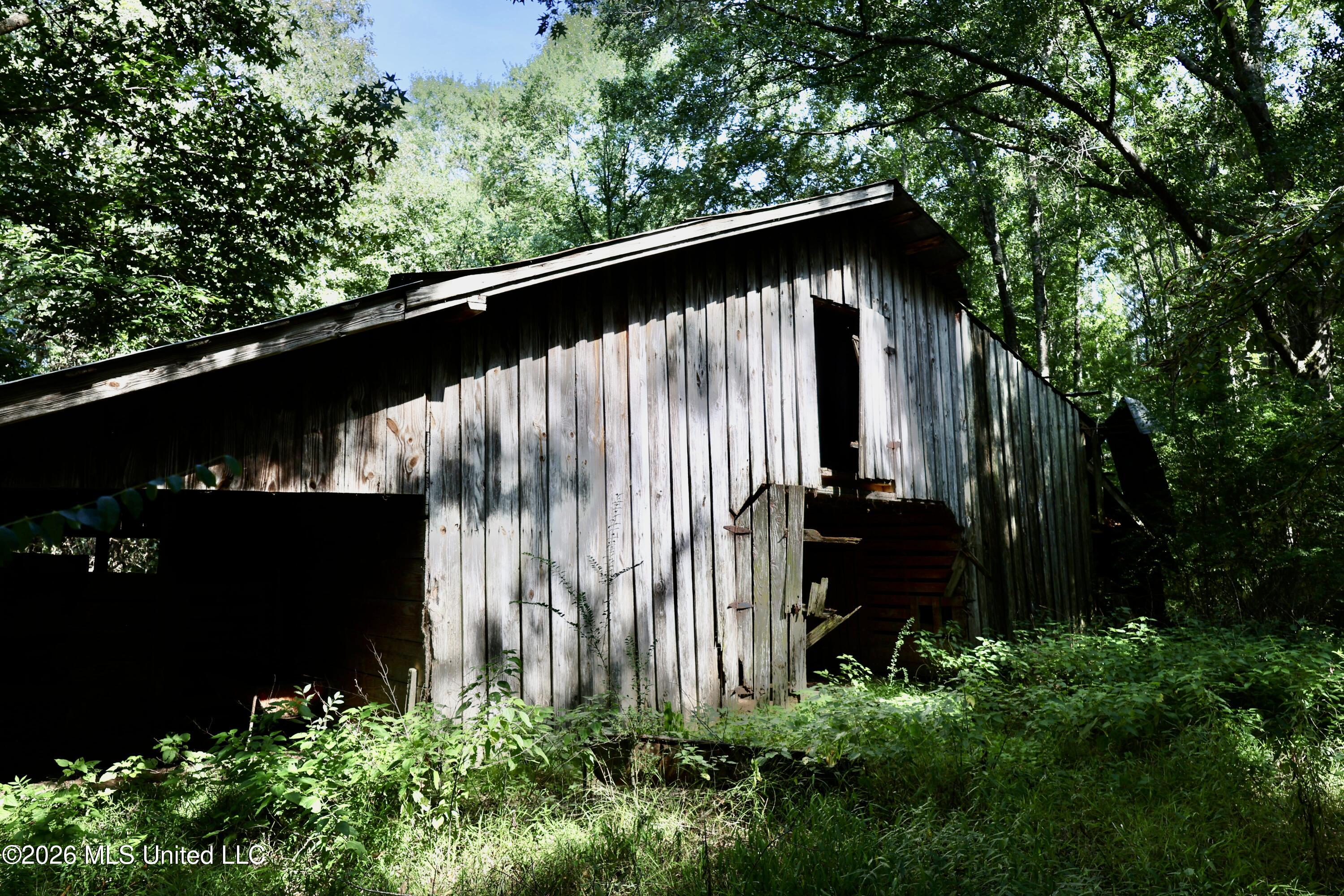 149 Gober Road Camden, MS 39045 - Photo 10 of 26 IMG_8297 2