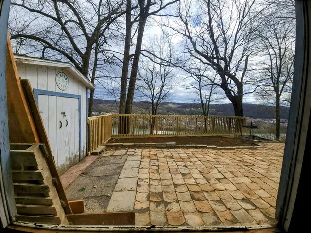 a view of a yard with trees
