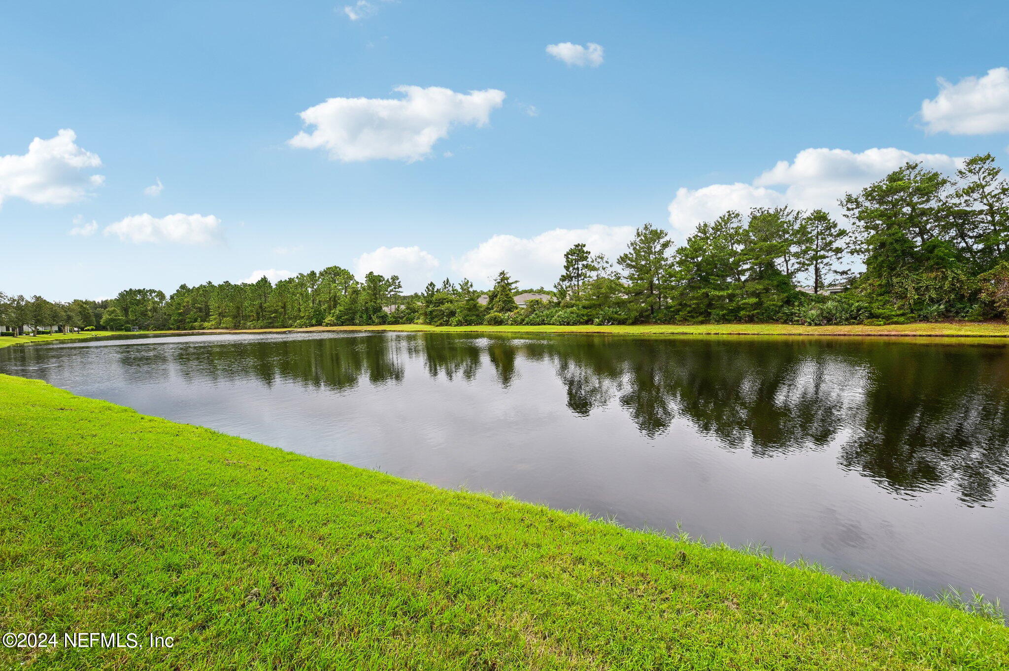 165 Amistad Drive St. Augustine, FL 32086 - Photo 2 of 41 a body of water with a tree in the background