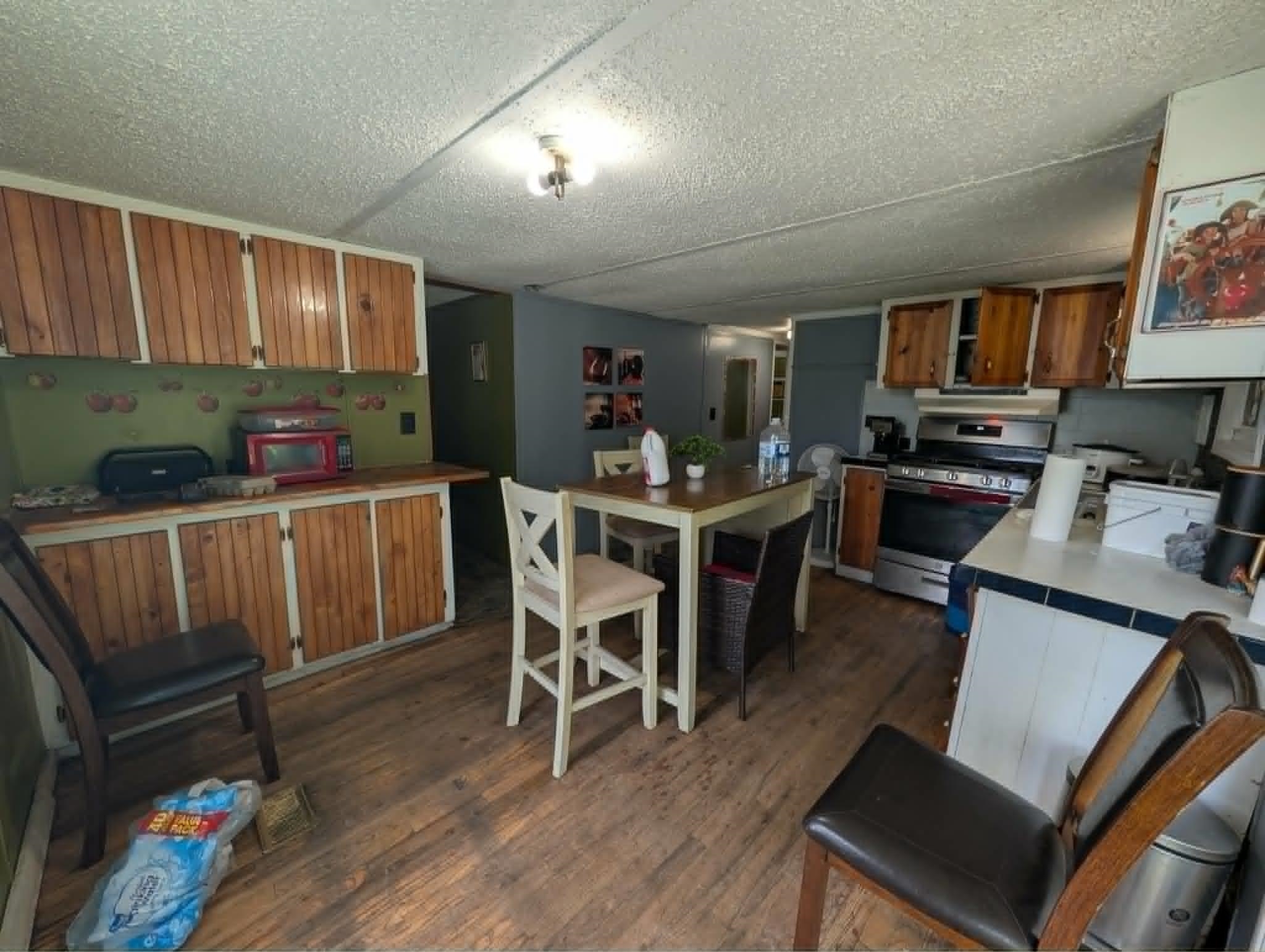 5327 Lang Road Beaverton, MI 48612 - Photo 6 of 20