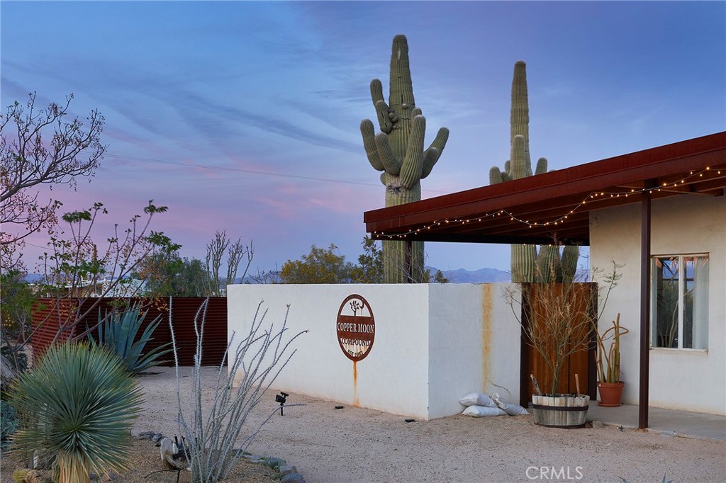 66475 Winters Road Joshua Tree, CA 92252 - Photo 5 of 73