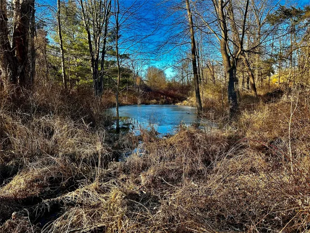 a view of a lake view