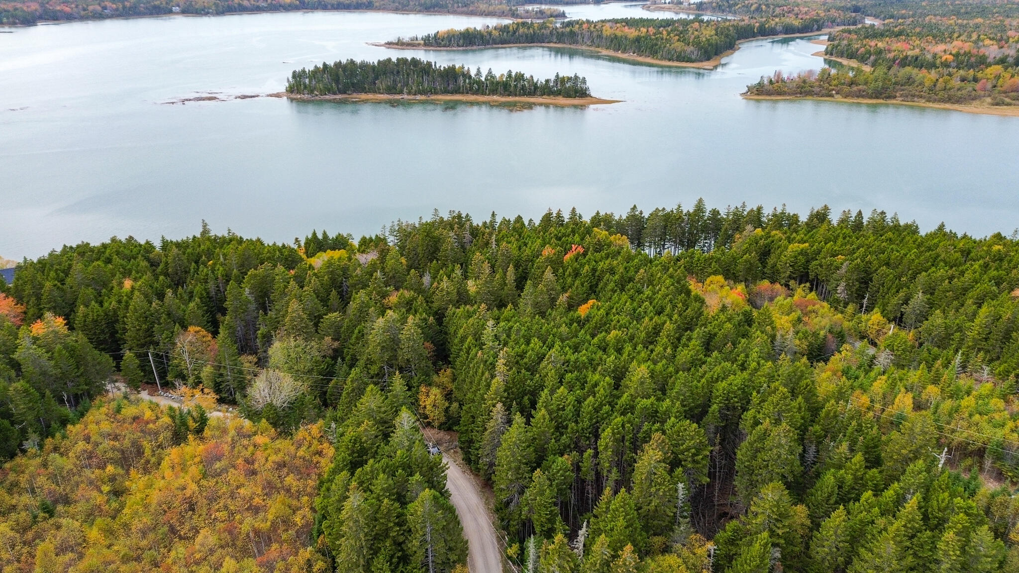 M2-lot6-5b Nepp Point Road Roque Bluffs, ME 04654 - Photo 11 of 18 Mature Trees on lot