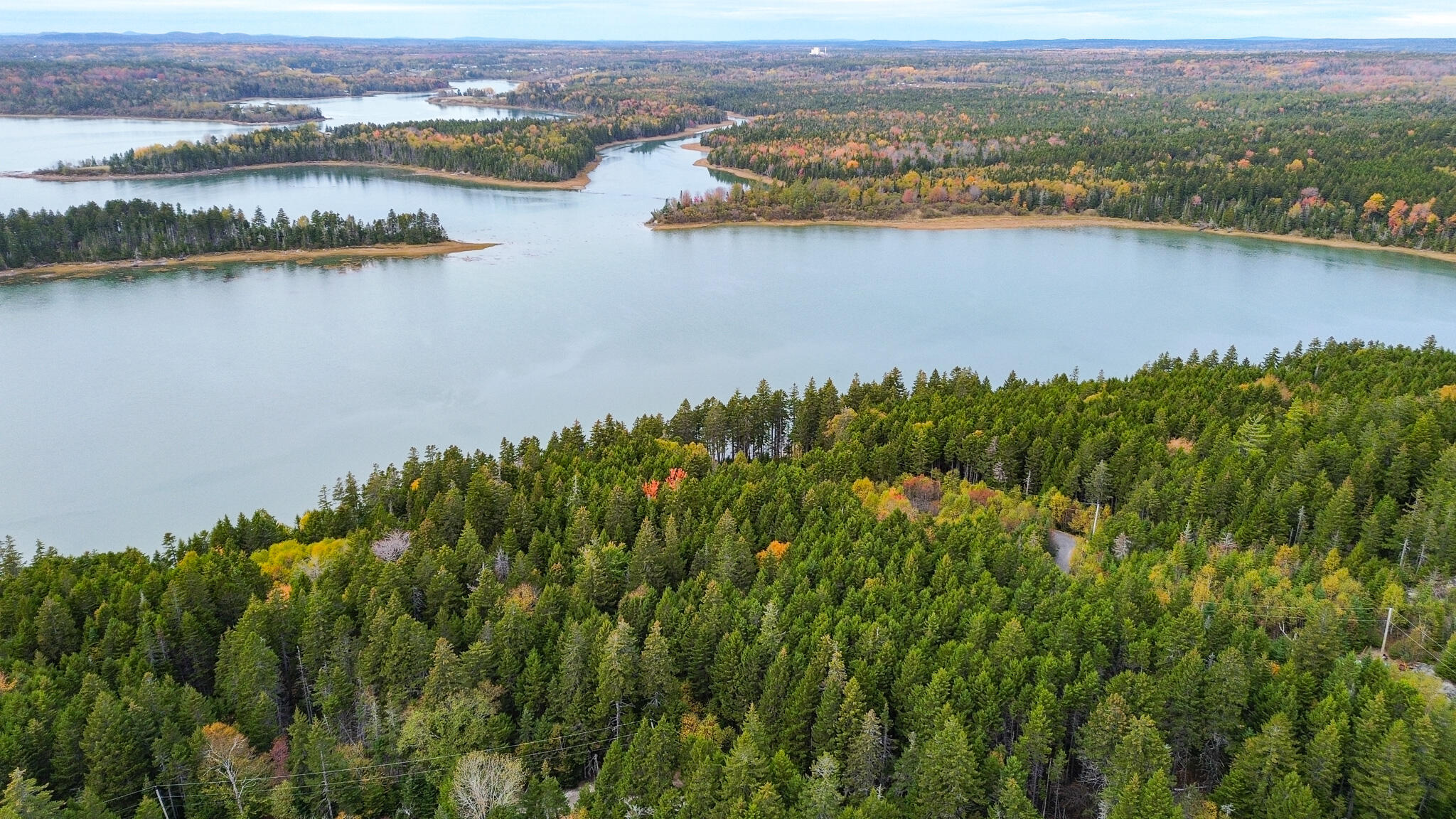 M2-lot6-5b Nepp Point Road Roque Bluffs, ME 04654 - Photo 13 of 18 Mature Trees on lot